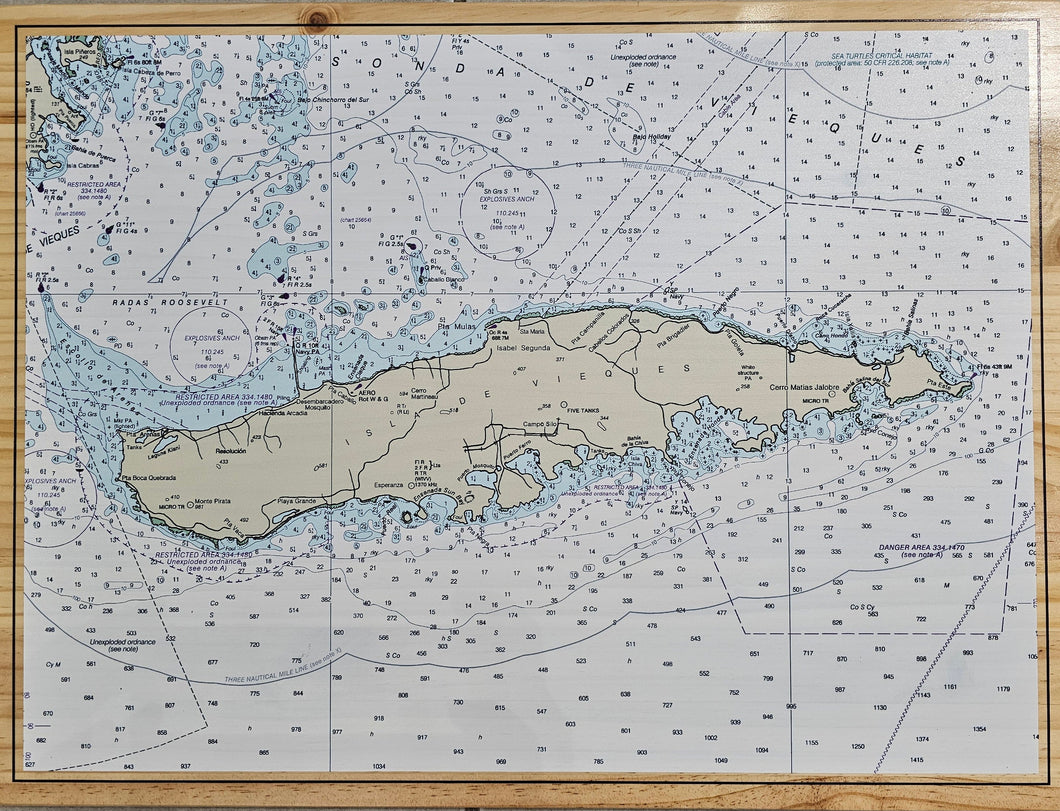 F & P Elevated Print Depth Chart Map, Large