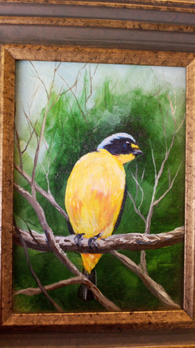 Warbler Bird Painting by Nancy Hogan Armour